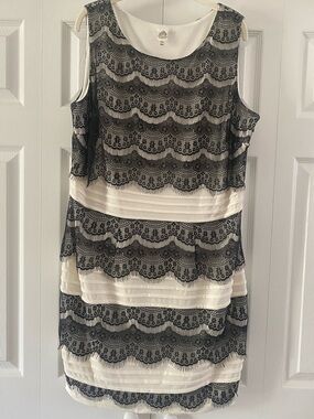 Beautiful Lace Overlay Dress